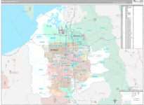 Salt Lake Wall Map Premium Style